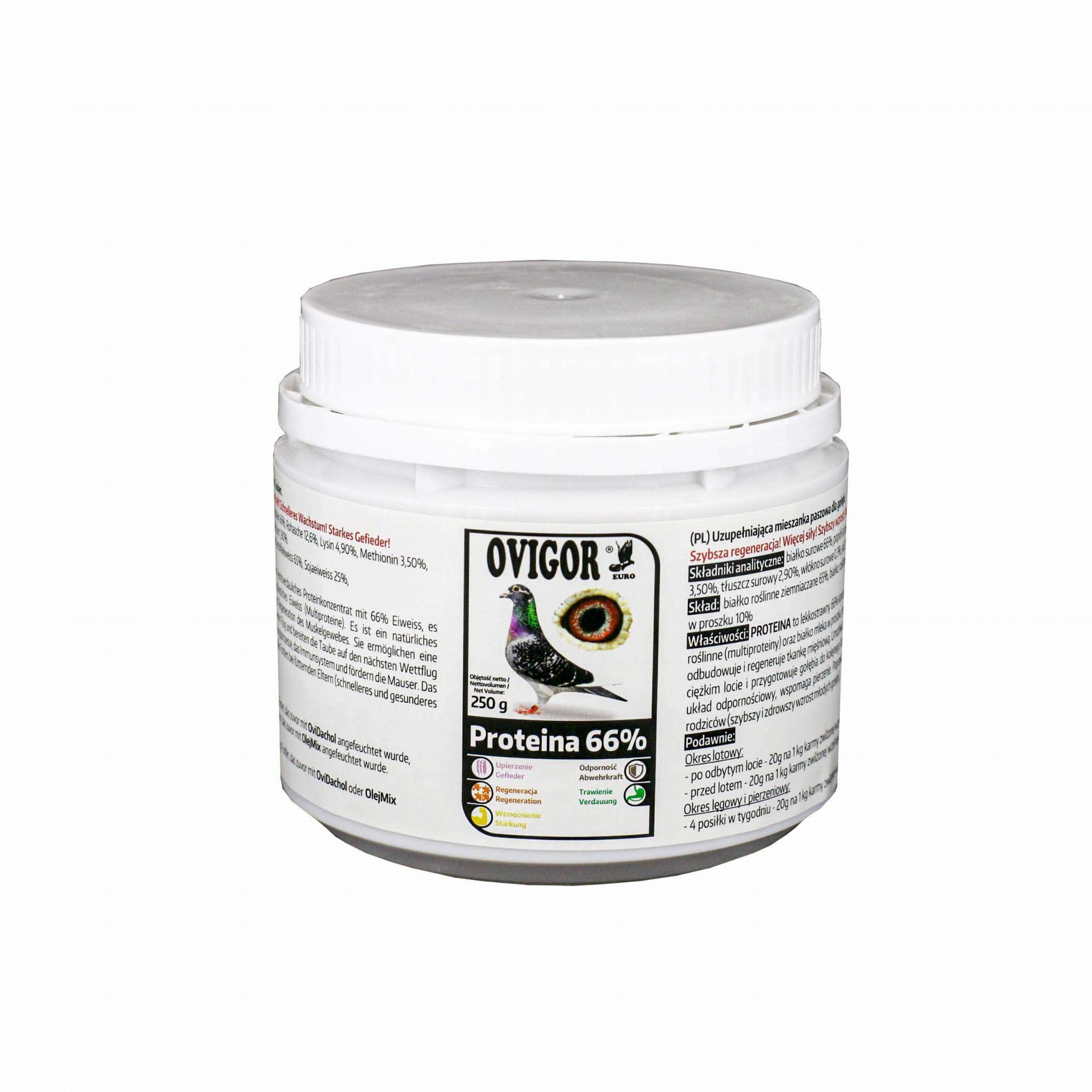 PROTEINA 66% 250 g - lekkostrawny 66% koncentrat białkowy OVIGOR