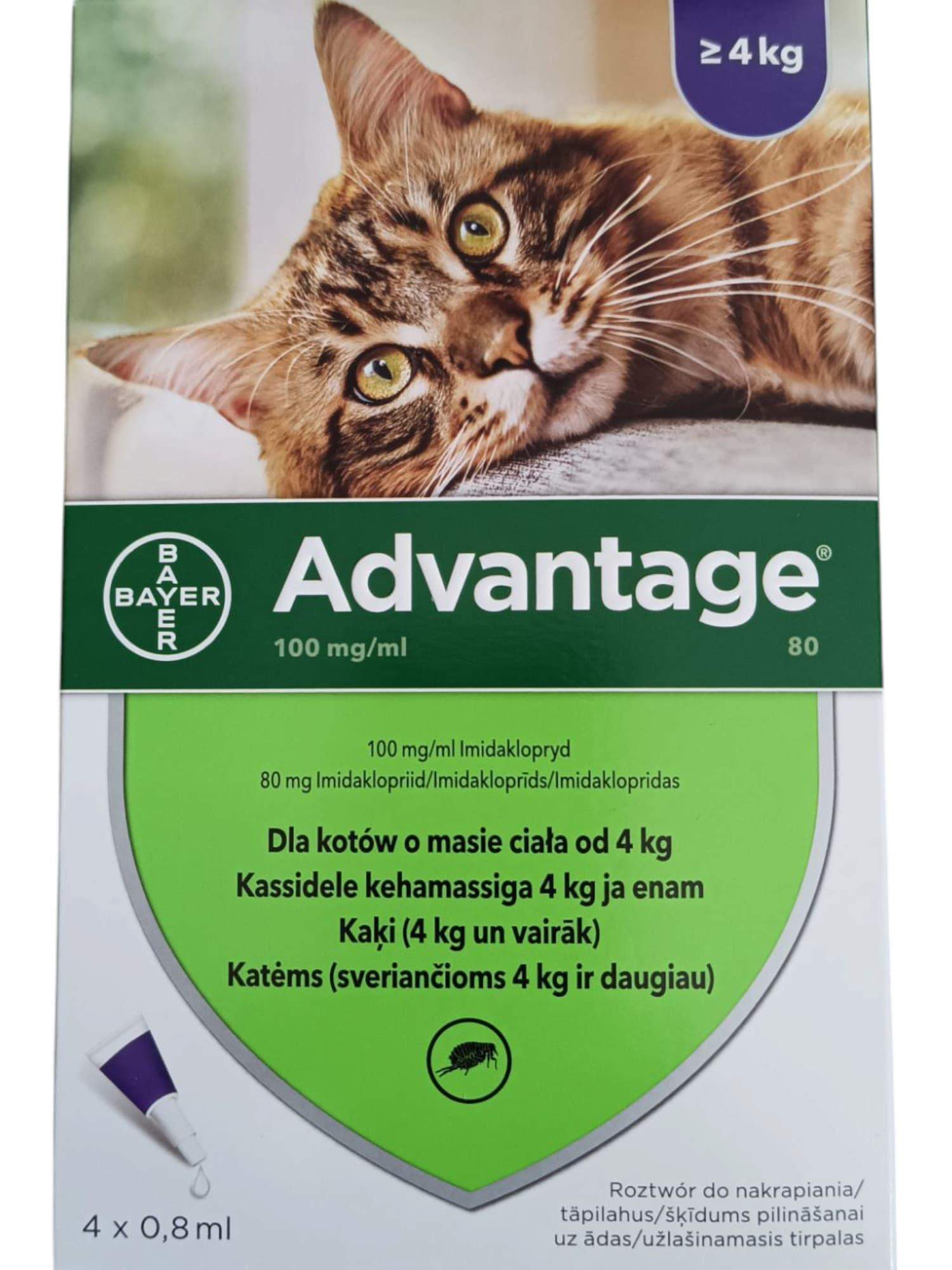 ADVANTAGE 80 dla kotów powyżej 4KG przeciw pchłom 4 pipety
